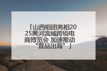 山西组团亮相2025黄河流域跨境电商博览会 加速推动“晋品出海”