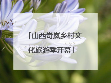 山西岢岚乡村文化旅游季开幕