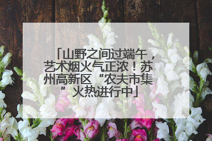山野之间过端午，艺术烟火气正浓！苏州高新区“农夫市集”火热进行中