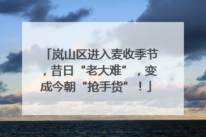 岚山区进入麦收季节，昔日“老大难”，变成今朝“抢手货”！