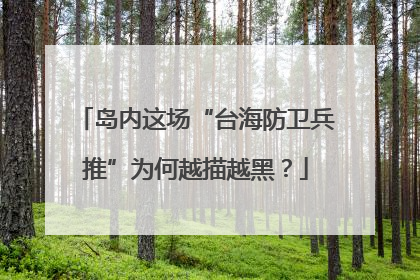 岛内这场“台海防卫兵推”为何越描越黑？