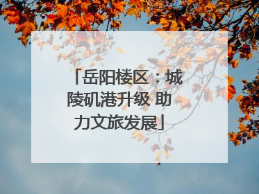 岳阳楼区：城陵矶港升级 助力文旅发展