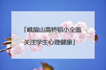 峨眉山高桥镇小全面关注学生心理健康