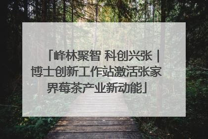 峰林聚智 科创兴张｜博士创新工作站激活张家界莓茶产业新动能