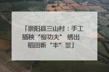 崇阳县三山村：手工插秧“慢功夫” 绣出稻田新“丰”景
