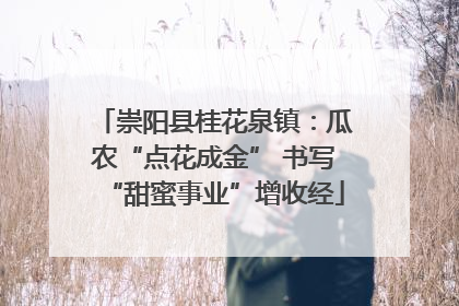 崇阳县桂花泉镇：瓜农“点花成金” 书写“甜蜜事业”增收经