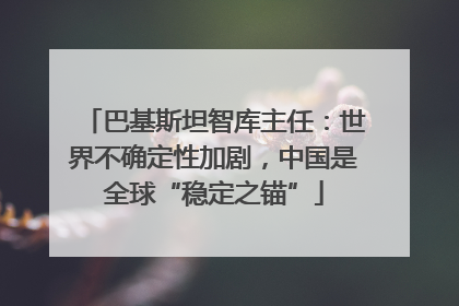 巴基斯坦智库主任：世界不确定性加剧，中国是全球“稳定之锚”