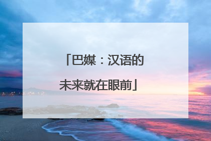 巴媒：汉语的未来就在眼前