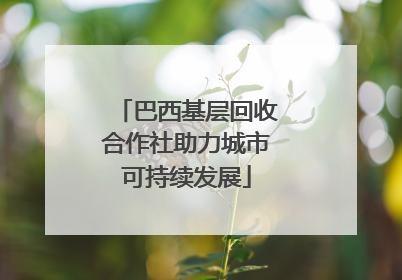 巴西基层回收合作社助力城市可持续发展