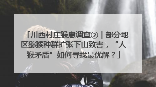 川西村庄猴患调查②｜部分地区猕猴种群扩张下山致害，“人猴矛盾”如何寻找最优解？