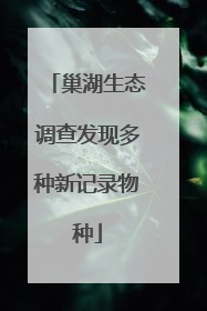 巢湖生态调查发现多种新记录物种