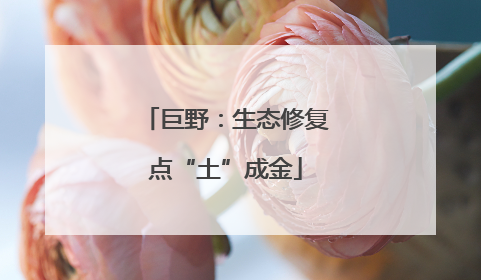 巨野：生态修复点“土”成金