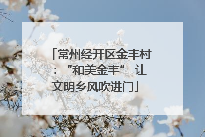 常州经开区金丰村：“和美金丰” 让文明乡风吹进门