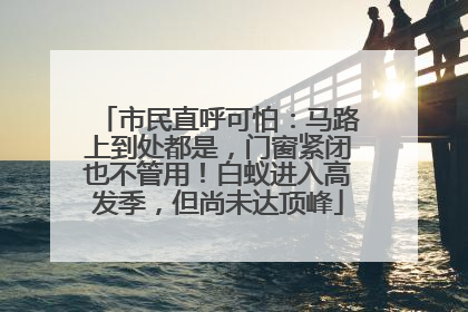 市民直呼可怕：马路上到处都是，门窗紧闭也不管用！白蚁进入高发季，但尚未达顶峰