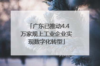 广东已推动4.4万家规上工业企业实现数字化转型