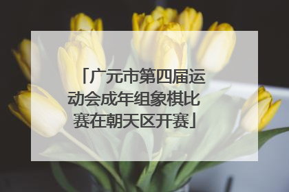 广元市第四届运动会成年组象棋比赛在朝天区开赛