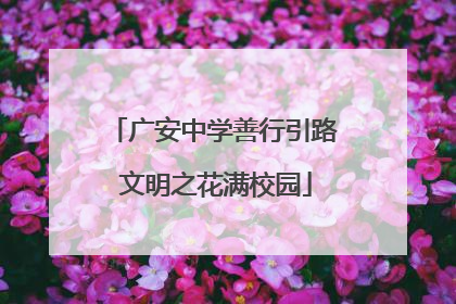 广安中学善行引路 文明之花满校园