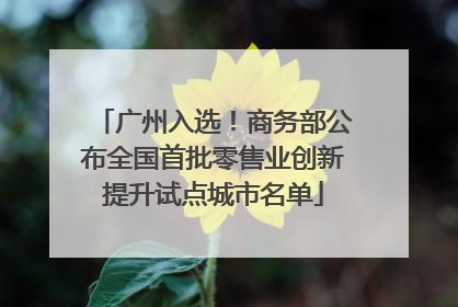 广州入选！商务部公布全国首批零售业创新提升试点城市名单