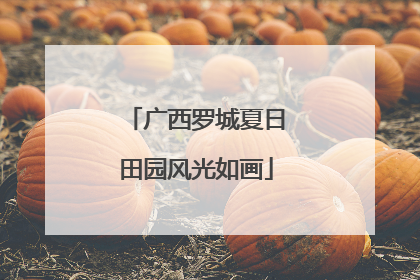 广西罗城夏日田园风光如画