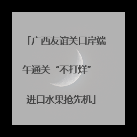 广西友谊关口岸端午通关“不打烊” 进口水果抢先机