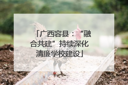 广西容县：“融合共建”持续深化清廉学校建设