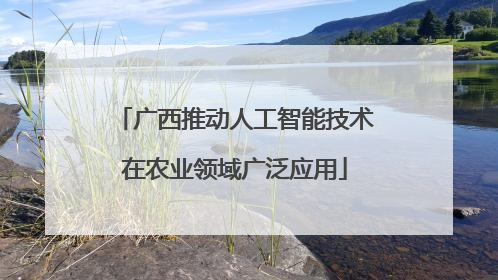 广西推动人工智能技术在农业领域广泛应用