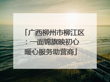 广西柳州市柳江区：一面锦旗映初心 暖心服务助营商