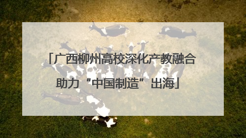 广西柳州高校深化产教融合 助力“中国制造”出海