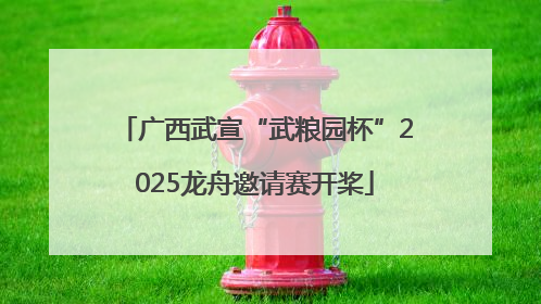 广西武宣“武粮园杯”2025龙舟邀请赛开桨