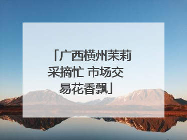 广西横州茉莉采摘忙 市场交易花香飘