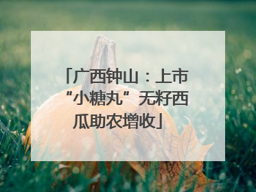 广西钟山：上市“小糖丸”无籽西瓜助农增收