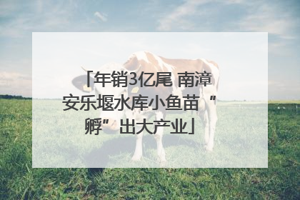 年销3亿尾 南漳安乐堰水库小鱼苗“孵”出大产业