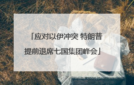 应对以伊冲突 特朗普提前退席七国集团峰会