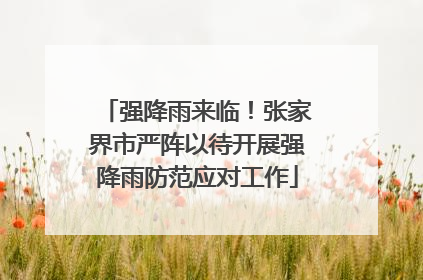 强降雨来临！张家界市严阵以待开展强降雨防范应对工作
