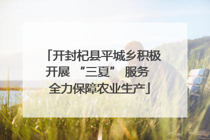 开封杞县平城乡积极开展 “三夏” 服务 全力保障农业生产