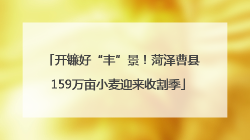 开镰好“丰”景！菏泽曹县159万亩小麦迎来收割季