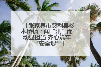 张家界市慈利县杉木桥镇：闻“汛”而动显担当 齐心筑牢“安全堤”