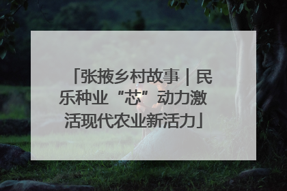 张掖乡村故事｜民乐种业“芯”动力激活现代农业新活力