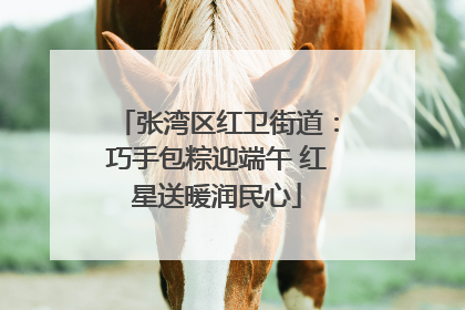 张湾区红卫街道：巧手包粽迎端午 红星送暖润民心