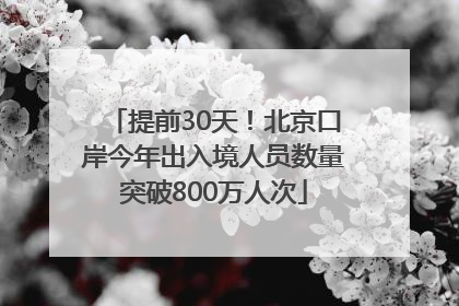 提前30天！北京口岸今年出入境人员数量突破800万人次