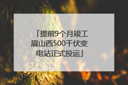 提前9个月竣工 眉山西500千伏变电站正式投运