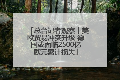 总台记者观察丨美欧贸易冲突升级 德国或面临2500亿欧元累计损失