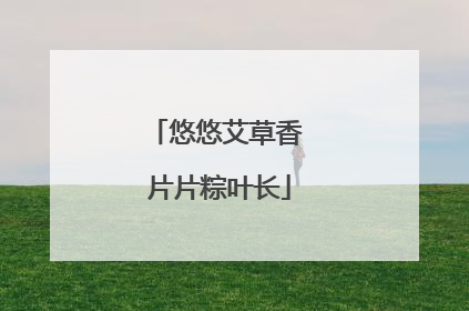 悠悠艾草香 片片粽叶长
