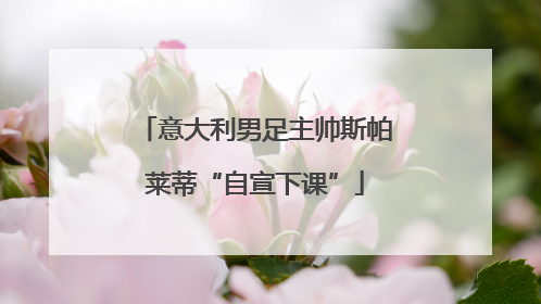 意大利男足主帅斯帕莱蒂“自宣下课”