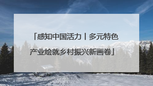 感知中国活力丨多元特色产业绘就乡村振兴新画卷