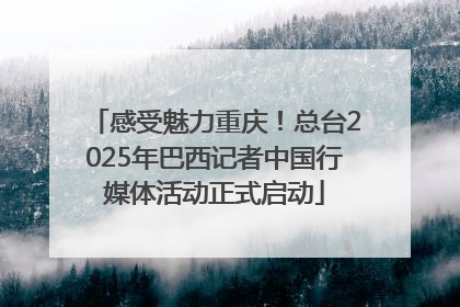 感受魅力重庆！总台2025年巴西记者中国行媒体活动正式启动