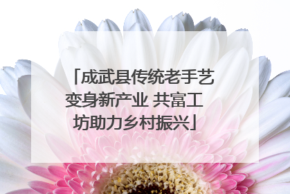 成武县传统老手艺变身新产业 共富工坊助力乡村振兴