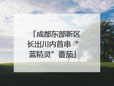 成都东部新区长出川内首串“蓝精灵”番茄
