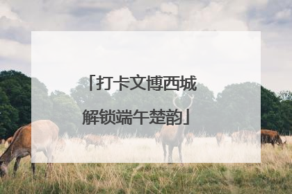 打卡文博西城 解锁端午楚韵