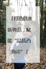打造供水新典范，赋能“品质西海岸”
